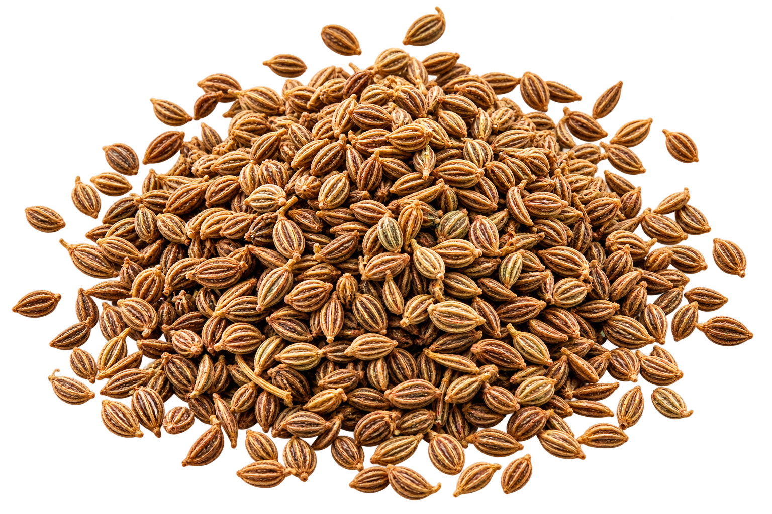 Ajwain