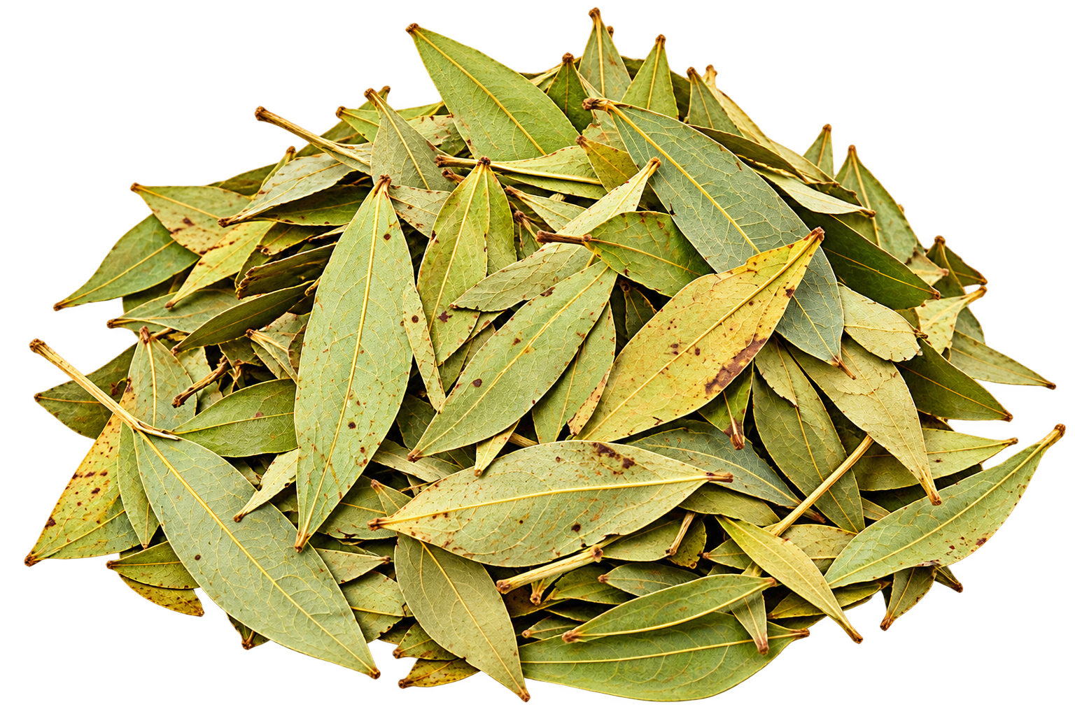Swarnpatri